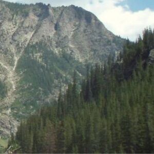 Meet your Posher, mountain mama rustics!